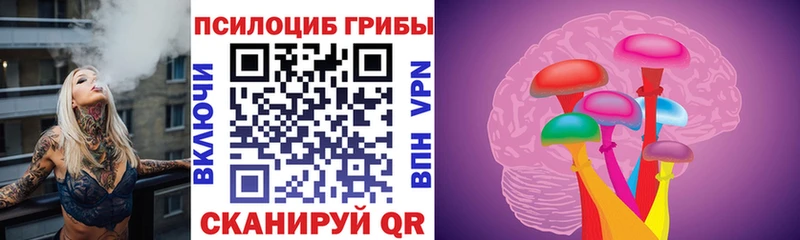 Галлюциногенные грибы Magic Shrooms  OMG ссылка  Трубчевск 
